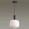 Светильник LUMION SUSPENTIONI 4451/1